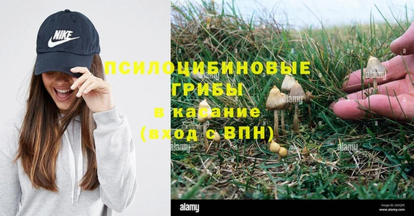 ПСИЛОЦИБИНОВЫЕ ГРИБЫ Коряжма
