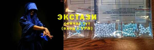 индика Краснослободск