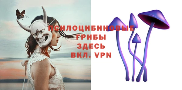индика Краснослободск