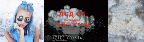 ПСИЛОЦИБИНОВЫЕ ГРИБЫ Коряжма