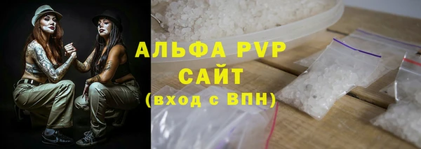 индика Краснослободск