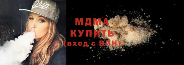 индика Краснослободск