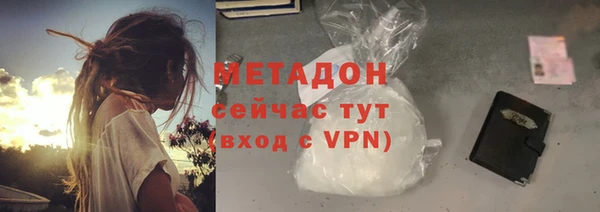 индика Краснослободск