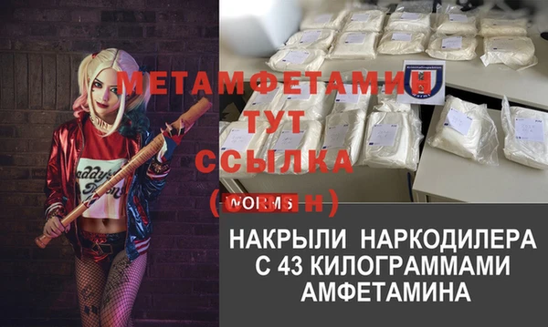 ПСИЛОЦИБИНОВЫЕ ГРИБЫ Коряжма