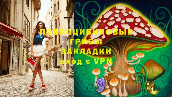 индика Краснослободск