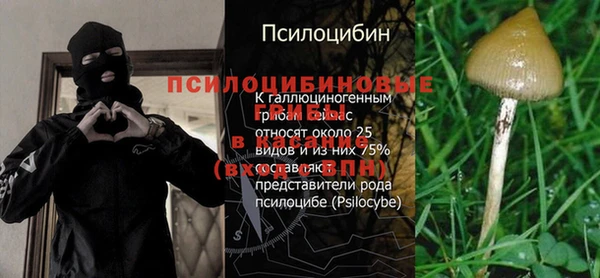 ГАЛЛЮЦИНОГЕННЫЕ ГРИБЫ Краснотурьинск