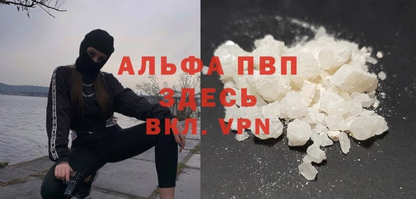 индика Краснослободск