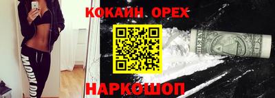 амф Гусев