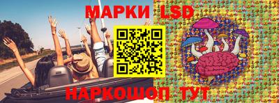 амф Гусев