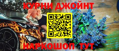 амф Гусев