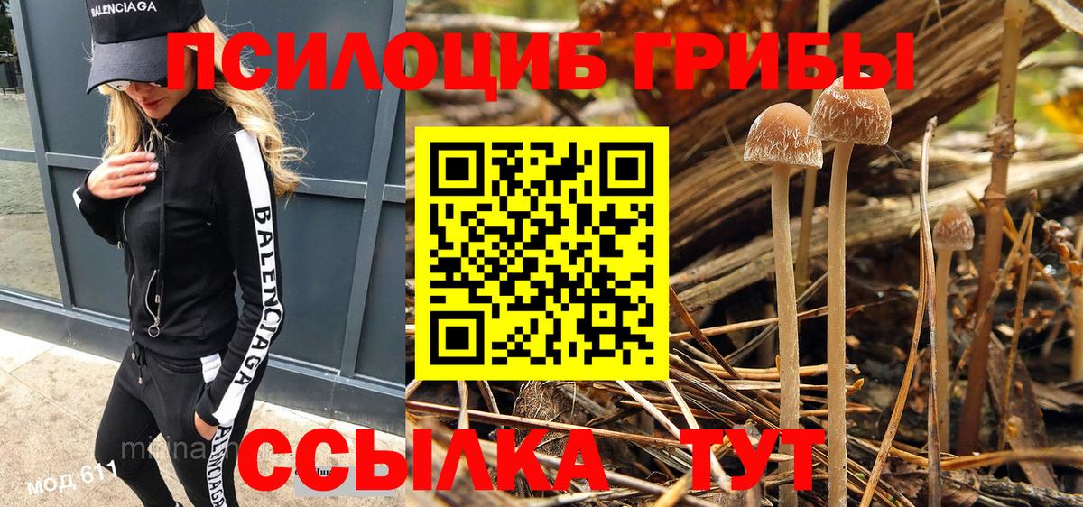 Галлюциногенные грибы Psilocybine cubensis  Вход с VPN  Коркино 