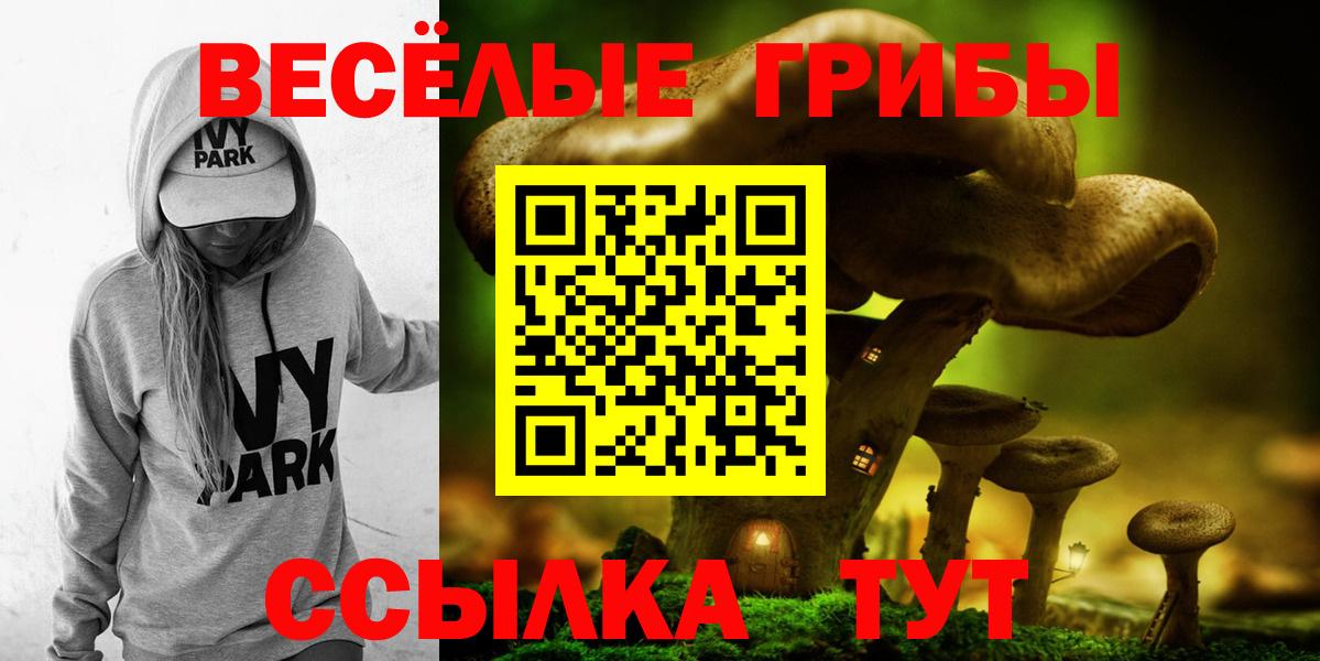Псилоцибиновые грибы мухоморы Коркино
